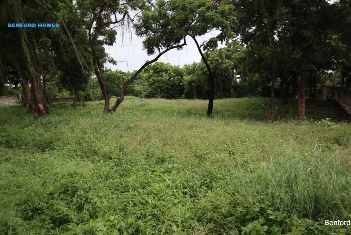 Green lush grass coupled with trees covering this on sale land| Benford Homes