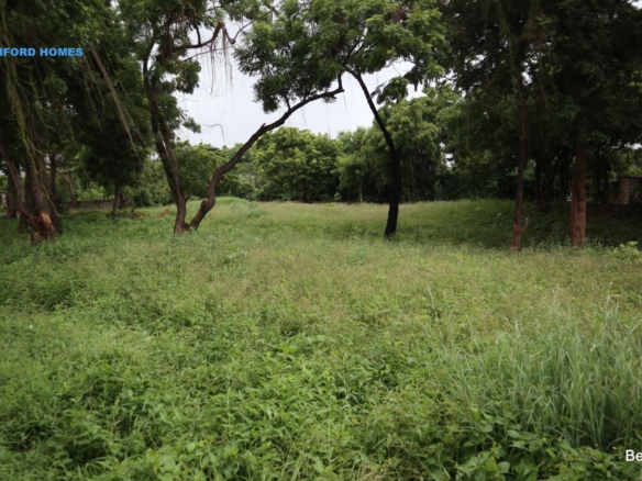 Green lush grass coupled with trees covering this on sale land| Benford Homes