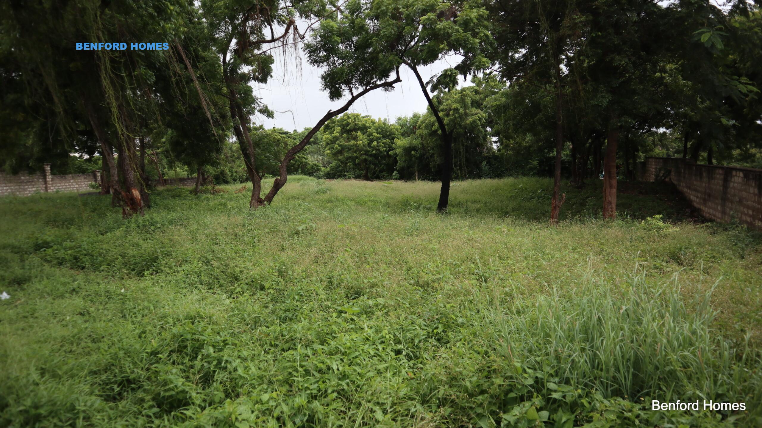 Green lush grass coupled with trees covering this on sale land| Benford Homes