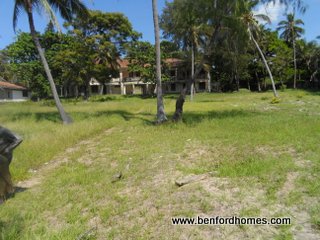 2.75 Acre piece of land with scattered green vegetation and trees| Benford Homes Properties