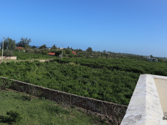 Picture an expansive acre of land blanketed in lush, vibrant green vegetation| Benford Properties