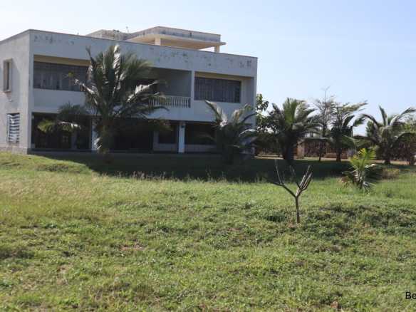 Green lush lawn around lined trees in a villa with a one storey apartment| Benford Homes