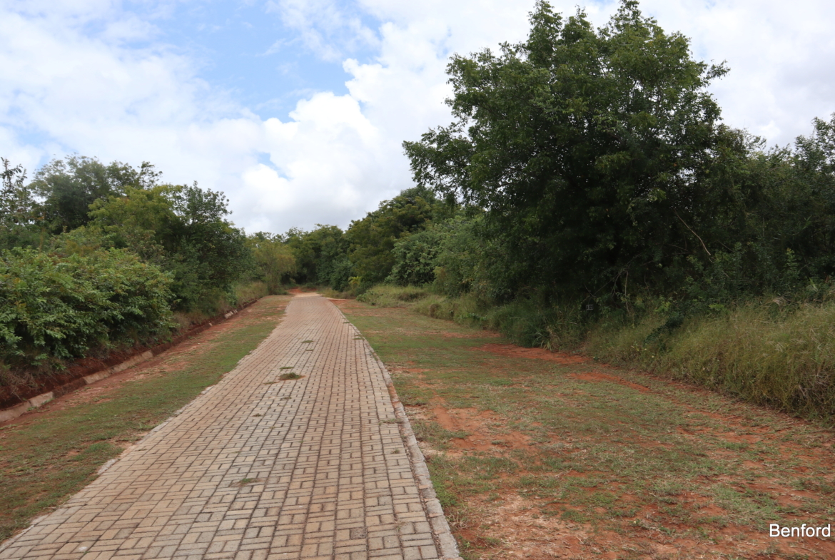 2.4 Acre prime land with access road and green lush vegetation| Benford Homes