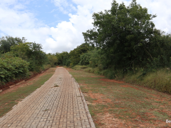 2.4 Acre prime land with access road and green lush vegetation| Benford Homes