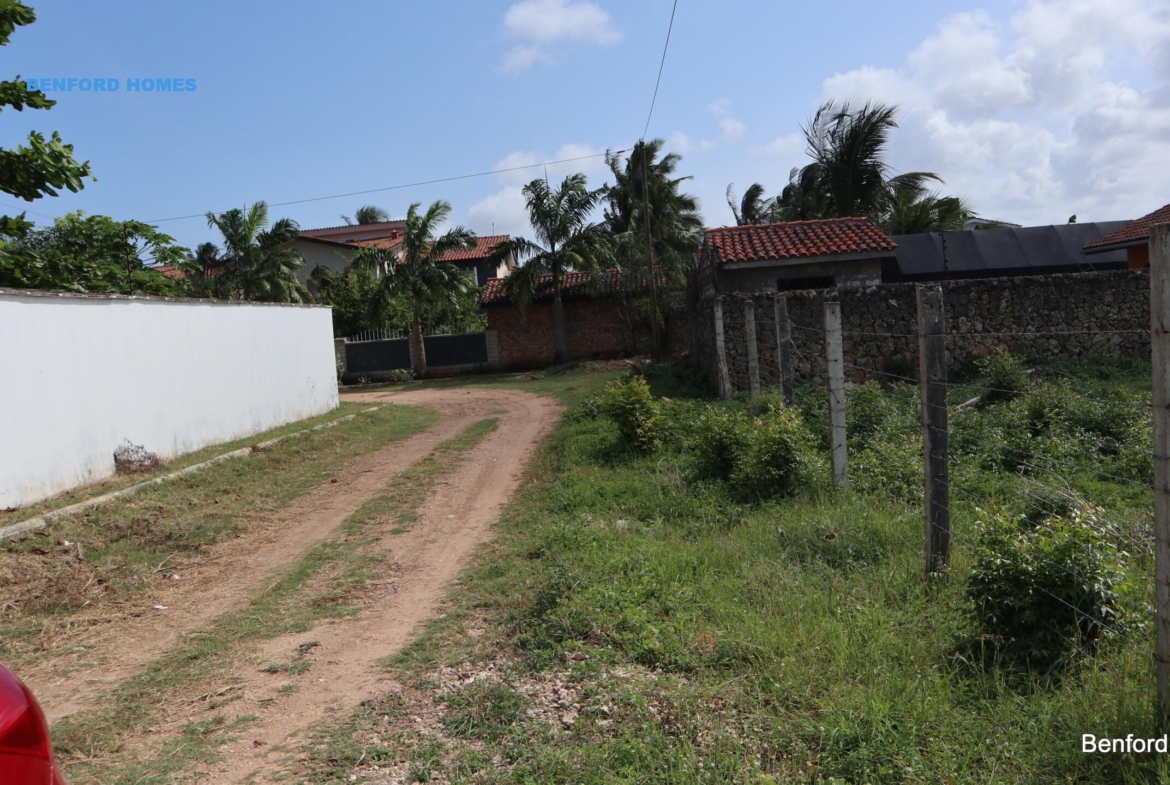 Green lush vegetation with trees and minor road| Benford Properties