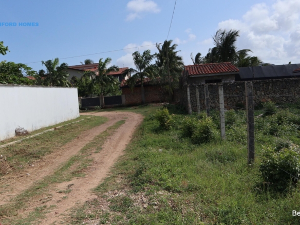 Green lush vegetation with trees and minor road| Benford Properties