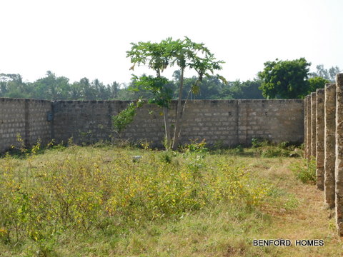 40x90 plot of land with a perimeter wall and green vegetation| Benford Homes Properties on Sale