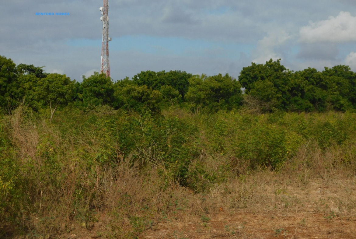 40 by 80 Plots of land with green lush vegetation. 72 pieces available| Benford Properties