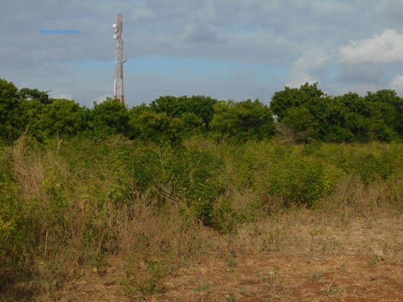 40 by 80 Plots of land with green lush vegetation. 72 pieces available| Benford Properties