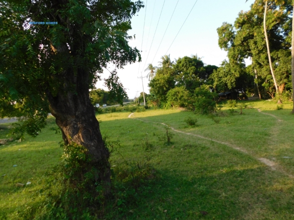 20 Acre prime piece of land with green lush vegetation and scattered trees| Benford Homes