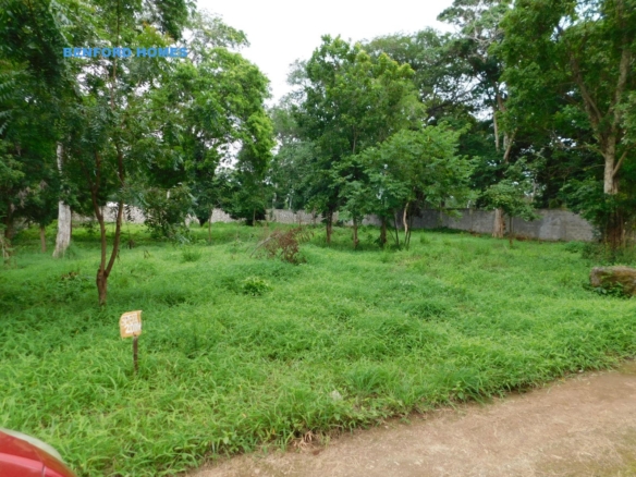 Half acre piece of land covered in green lush vegetation and few trees| Benford Homes Properies on Sale