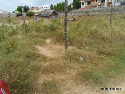 Expansive 100x100 Plots with green vegetation| Benford Homes Properties