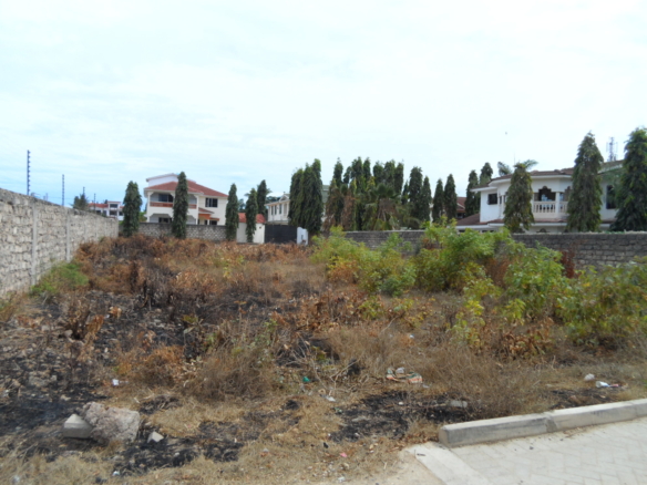 Quarter acre piece of land with scattered vegetation and trees| Benford Homes Properties