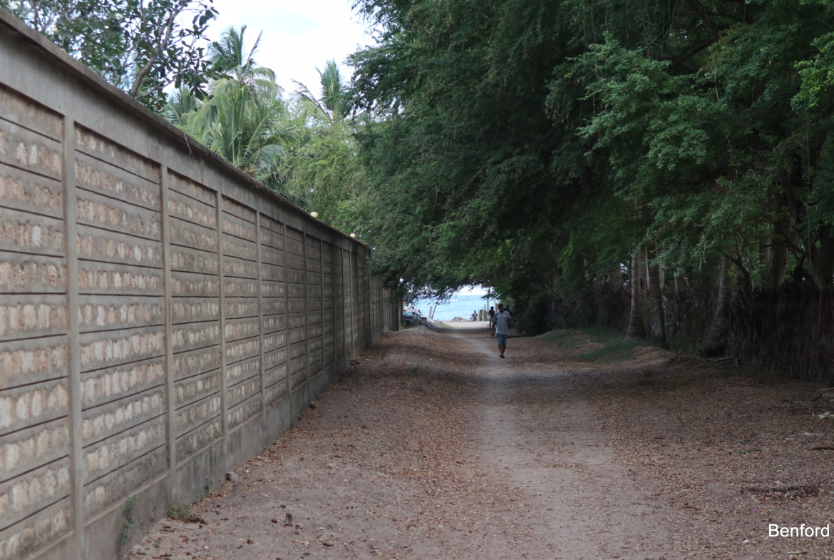 Gentleman of African descent walking on a foot path between a green bush and perimeter wall | Benford Homes Land on sale