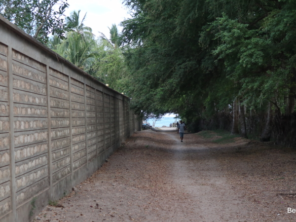 One acre land with trees, a green bush and perimeter wall | Benford Homes Land on sale