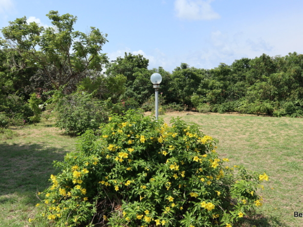 1/2 acre Beautiful land with trees in Old Nyali | Benford Homes land on sale in Old Nyali