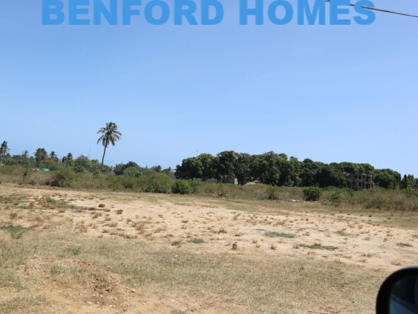 Scattered green lush vegetation on a 10.5 Acre piece of land sold as a whole parcel| Benford Properties